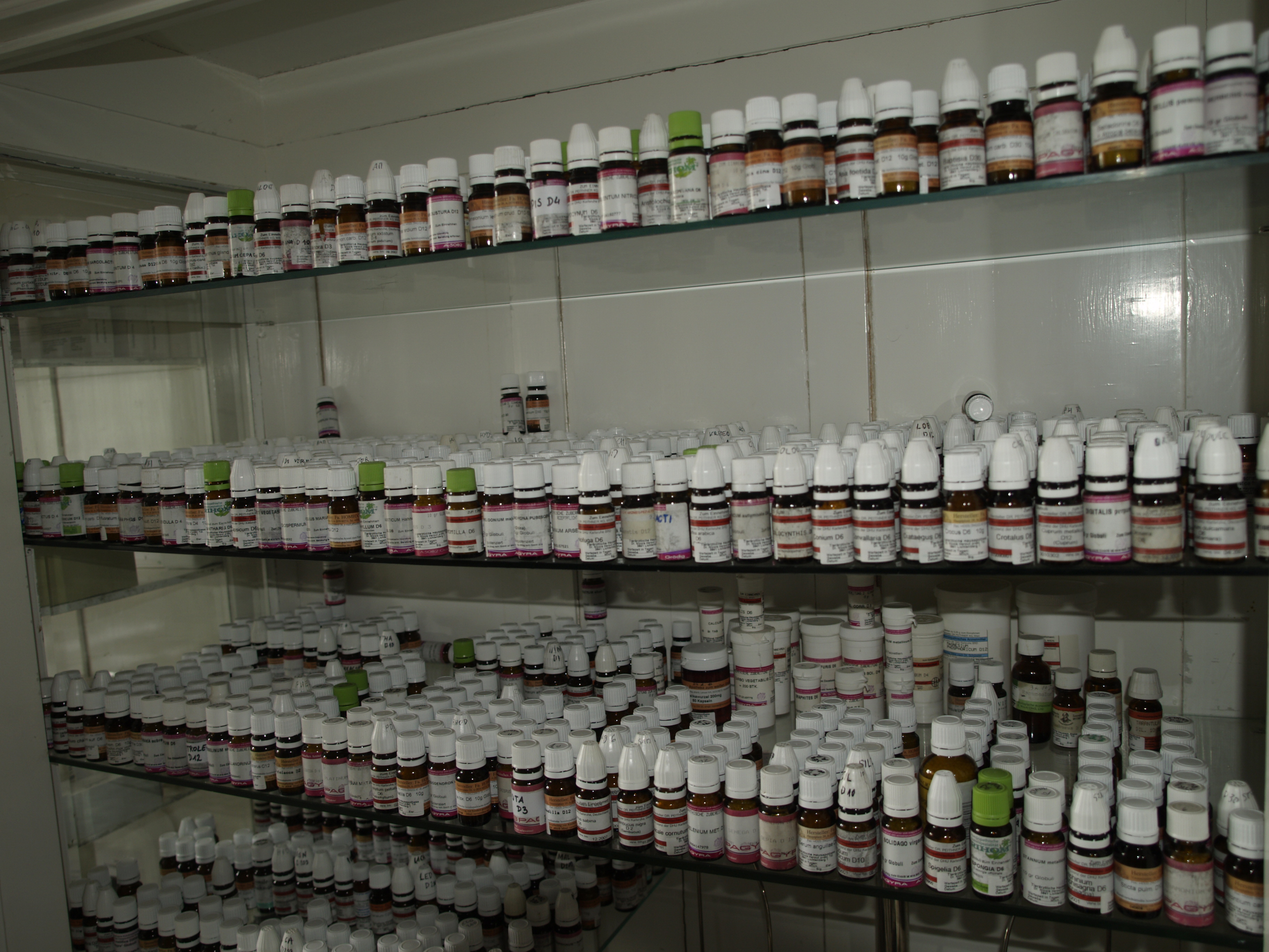 Diskussionsabend „Pluralismus in der Medizin“