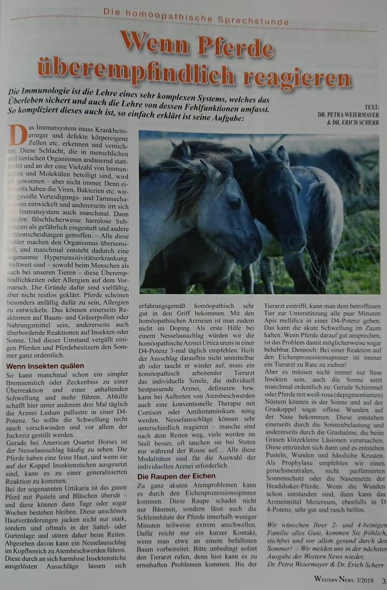 Artikel in den Western News